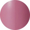 Preanfa PGU-S283 Color Gel PGU-S283 Color Gel Nail 283 0.1