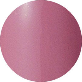 Preanfa PGU-S283 Color Gel PGU-S283 Color Gel Nail 283 0.1 oz (3 g)