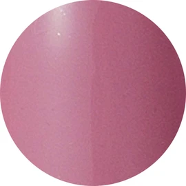 Preanfa PGU-S283 Color Gel PGU-S283 Color Gel Nail 283 0.1 oz (3 g)
