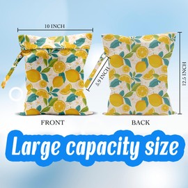 EODFFSGF Wet Dry Wet Bag for Swimsuit Towel Baby Travel Cloth Diapers Beach Gym Toiletries Makeup Storage Bag Summer Vacation Essential Holiday Summer Vibes Lemon