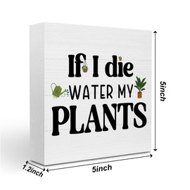 Funny Schedule Reminder Plants Sign Cute Plants Sign Decor Decorations for Home Office Garden Greenhouse Plant Lover Desk Decor Office Gift for Coworker Friend Plant Lover