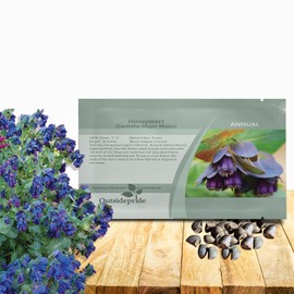 Outsidepride Cerinthe Major Honeywort Seeds - 50 Pcs. Annual, Self-Sowing & Easy to Grow, Flower Seeds for Planting, Vibrant Purple-Blue Tube-Like Blooms for Garden Beds, Borders & Container Displays