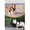 BaoCheng Anti-Pull Dog Harness, Small/Medium/Large Dogs, Breathable Mesh, Easy to