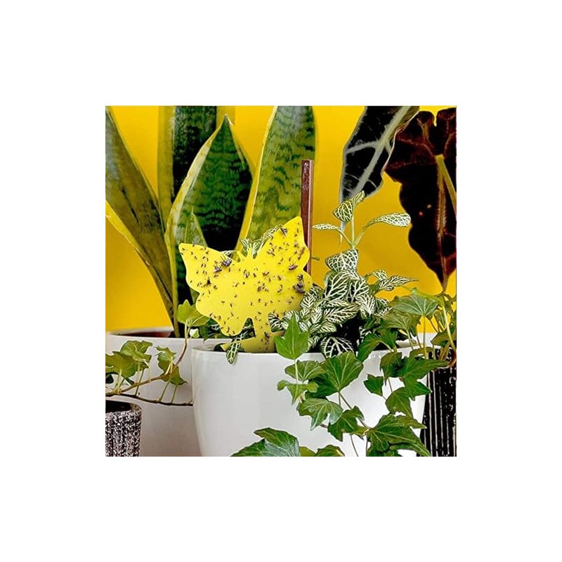 LFSYS 64 Pcs Yellow Sticky Traps for Indoor Plant Pest