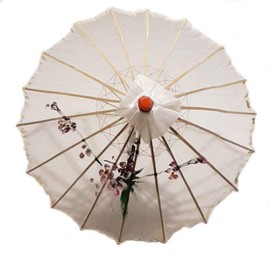JapanBargain S4499, Kid's Size Japanese Chinese Umbrella Parasol 22-inch, Transparent White Color
