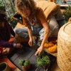 Fiskars Planting Mat, Foldable, High mat edge, Suitable for repotting,