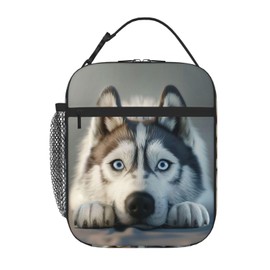 Kamoxi Funny Husky Lunch Bag Cute Dog Lunch Box for Kids Boys Girls, Husky Lying on Front Paws Insulated Lunch Tote Bag for School Work Picnic Camping, Leakproof Reusable Cooler Thermal Lunchbox