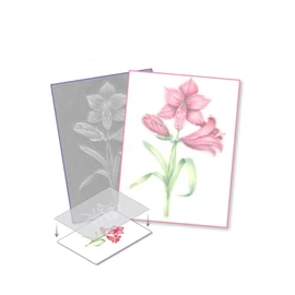 Pergamano Amaryllis - Frosted Floral Overlay Pack, PER-PA-70416-XX