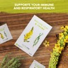 Nutra Tea - Mullein Leaf & Thyme | Mullein Tea
