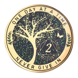 LParkin 2 Year Sobriety Coin, Tree of Life Recovery Coin, AA Recovery Medallion, Anniversary Token Sobriety Gifts, Alcoholic Anonymous Locket