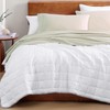 LANE LINEN LANE LINEN 100% Organic Cotton Queen Sheet Set,