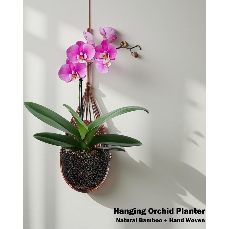 Hanging Orchid Planter Plant Pot: 5 Packs Bamboo Flower Basket