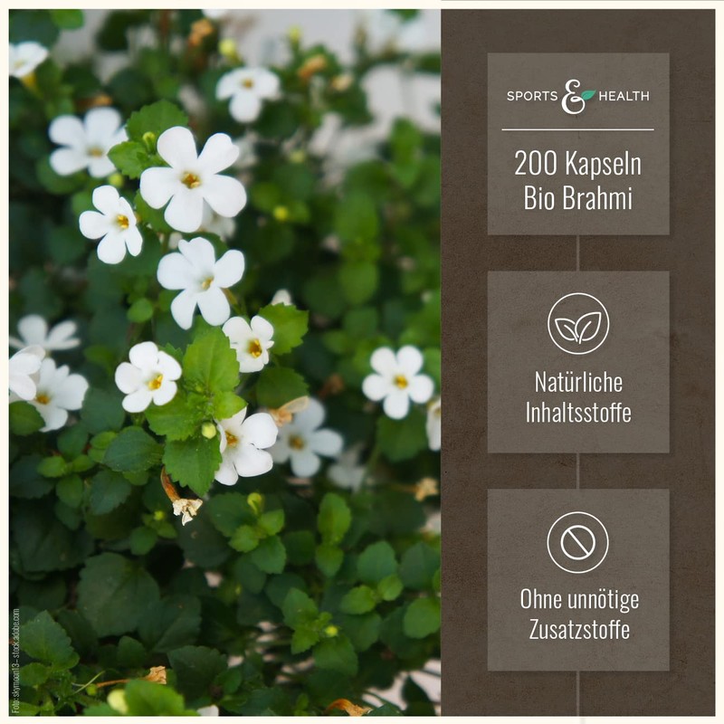 Brahmi Organic Capsules - 200 Brahmi Capsules - 1000 mg