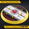 GOLD DEER 6 Inch 6 Hole Sanding Pad Backing Plate