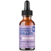 Barlean's Mood Booster Supplement, Resilient L Theanine Liquid Drop Supplements