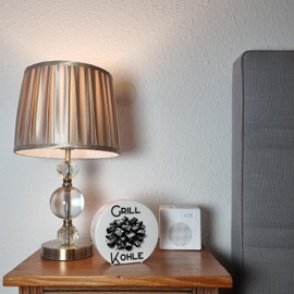 Barbecue Charcoal Money Box Perfect for BBQ Fans Barbecue with Charcoal Heat Fuel Saver Ideal for BBQ Parties