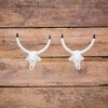 Decorative Cast Iron Bull Horns Wall Decor, 6 Inch, White,