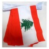 AZ FLAG - Lebanon Flag Chain 12 Metres with 20