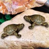 RELKLYU 2 Simulated Turtle Models, Garden Decoration Embellishments, Garden Landscaping,