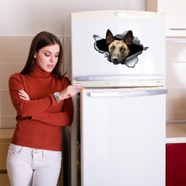 Car Sticker Belgian Malinois Car Sticker 15 cm (5.9 Inch) 3D Ripped Sticker Waterproof Belgian Shepherd Pet Dog Sticker Laptop Sticker Reflective Sticker