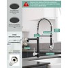Fapully Kitchen Sink Faucet, Pull Down Kitchen Faucet, Black and