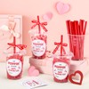 Sieral 24 Packet Valentines Day Party Favors Gifts Include 16oz