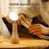 2 Pack LED Wooden Mushroom Lamp, Rechargeable Battery Operated Portable
