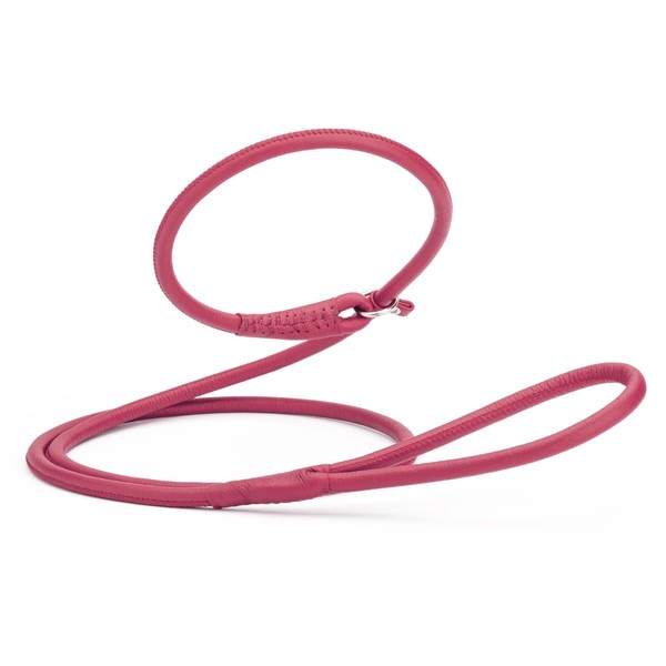 Dogline Rolled Leather Dog Slip Lead - for Small, Medium
