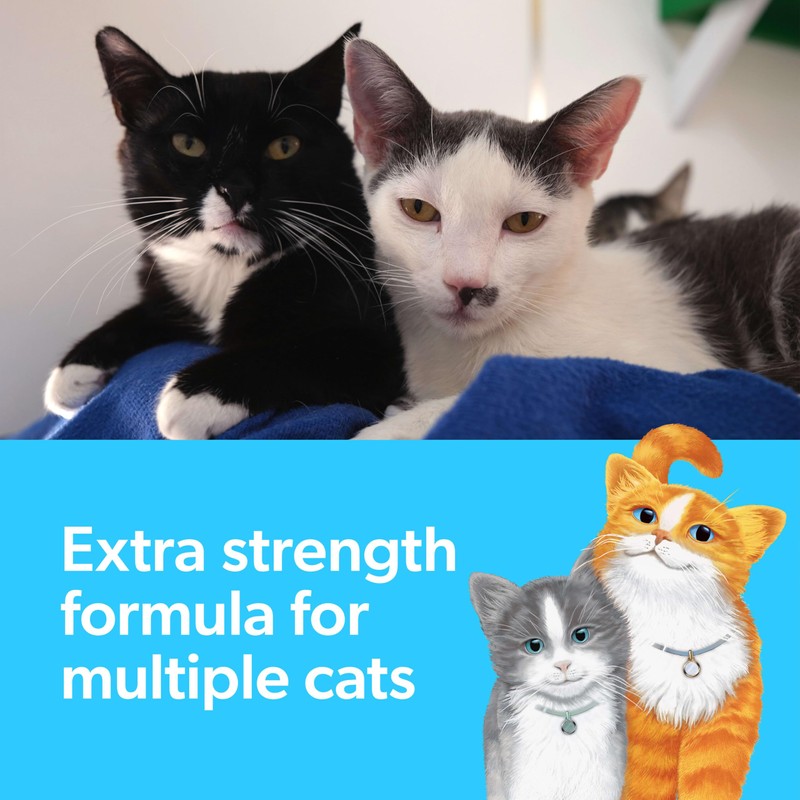 Fresh Step Clumping Cat Litter, Multi-Cat, Long Lasting Odor Control