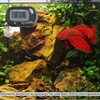SunGrow Digital Betta Thermometer for Tropical Aquarium Fish, Black Color,