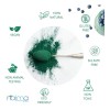 Alga Espirulina Polvo 1 Kilogramo Pura