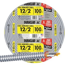 Armored Cable, Steel Jacket, 12/2 ACT, 100-Ft.
