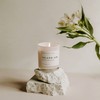 Sweet Water Decor Island Air Soy Candle - Tropical Fruit,