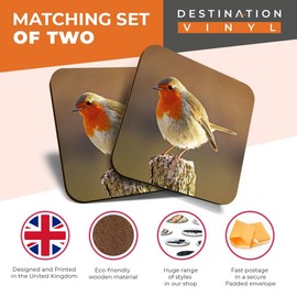 Great Coasters (Set of 2) Square/Glossy Quality Coasters/Tabletop Protection for Any Table Type - Robin Redbreast Bird Animals Birds #8701