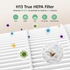 W-01 Replacement Filter Compatible with DBFIT W-01 Air Purifi-er Air