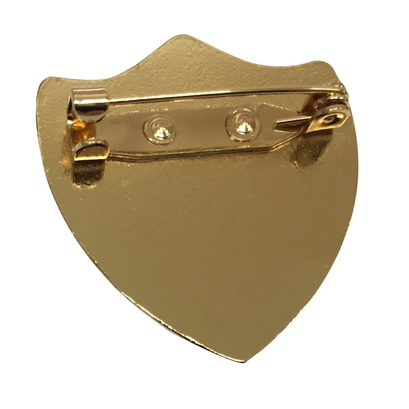 Capricornone Dustbin Monitor Gel Domed Red School Shield Badge