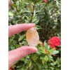 WHOLESALE Citrine Tumbled Stones, Polished Citrine Gemstone, Citrine Healing Crystals