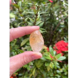 WHOLESALE Citrine Tumbled Stones, Polished Citrine Gemstone, Citrine Healing Crystals (Citrine, 0.5 Pound)
