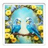 Budgerigar Coaster Set. 4 different Budgie Pictures on 10cm x