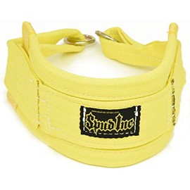 Spud Belt Squat Medium Belt for Weight Lifting Strength Training and Power Lifting (Yellow)