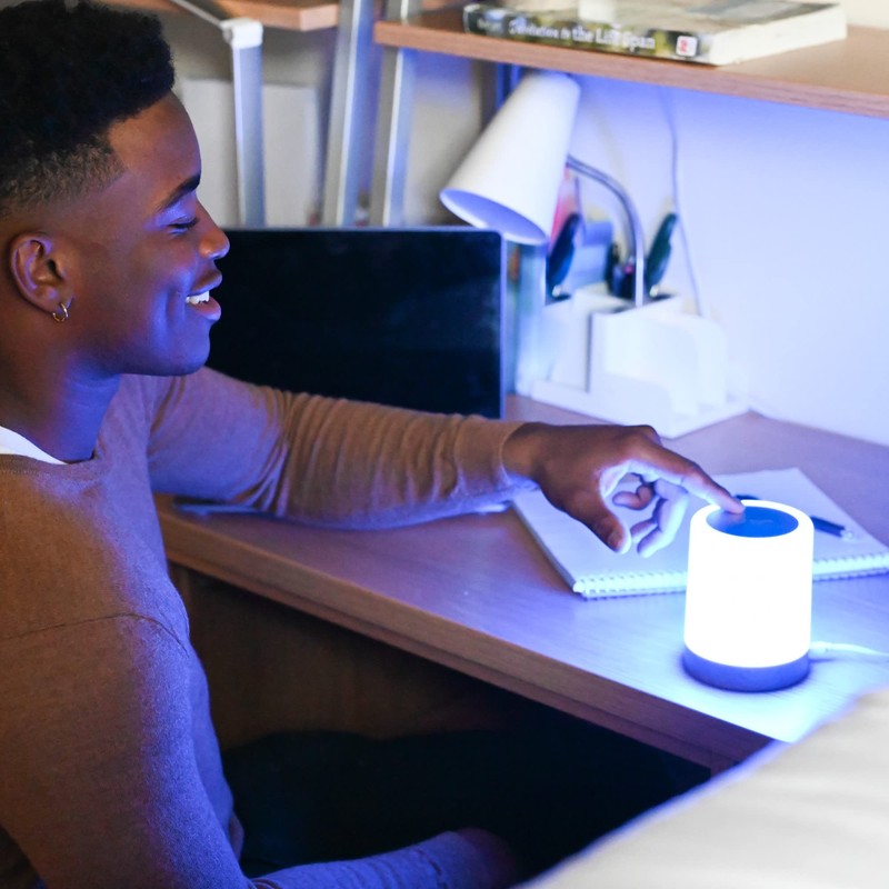 LuvLink Friendship Lamps No Subscription WiFi Touch Lamp for Long