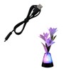 blinkee Fiber Optic Flowers with Light Up Gemstones Centerpiece USB