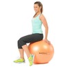 Pezziball Maxafe Exercise Ball 42, 53, 65, 75 cm All