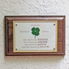 Clovers Online Walnut Plaque with a Genuine Four Leaf Clover