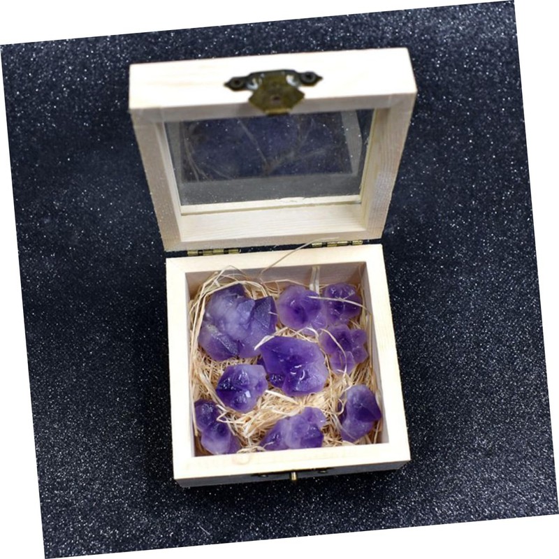 KICHOUSE 100g Amethyst Rough Ore Specimen for Teaching and Collection