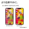 ラスタバナナ ガラスフィルム iPhone17 Pro Max 専用 平面保護 貼付革命 ブルーライトカット 高光沢