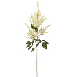 SilksAreForever 34" Artificial Astilbe Flower Stem -Cream (Pack of 12)