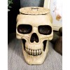 Ebros DOD Ossuary Skull Cranium Coaster Set Statue Holder W/6