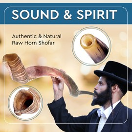 YOMTOV-SHALOM | Kudu Shofar | Shofar for Sale | Kosher from Israel | 35-39 inch