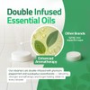 Shower Steamers Aromatherapy - Eucalyptus & Mint - 15 Pack